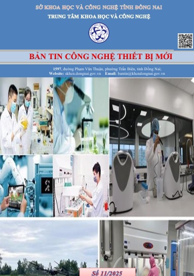 Bia 11