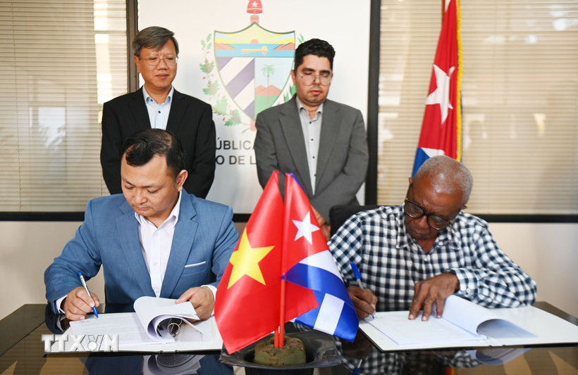 cuba trong dieu 1