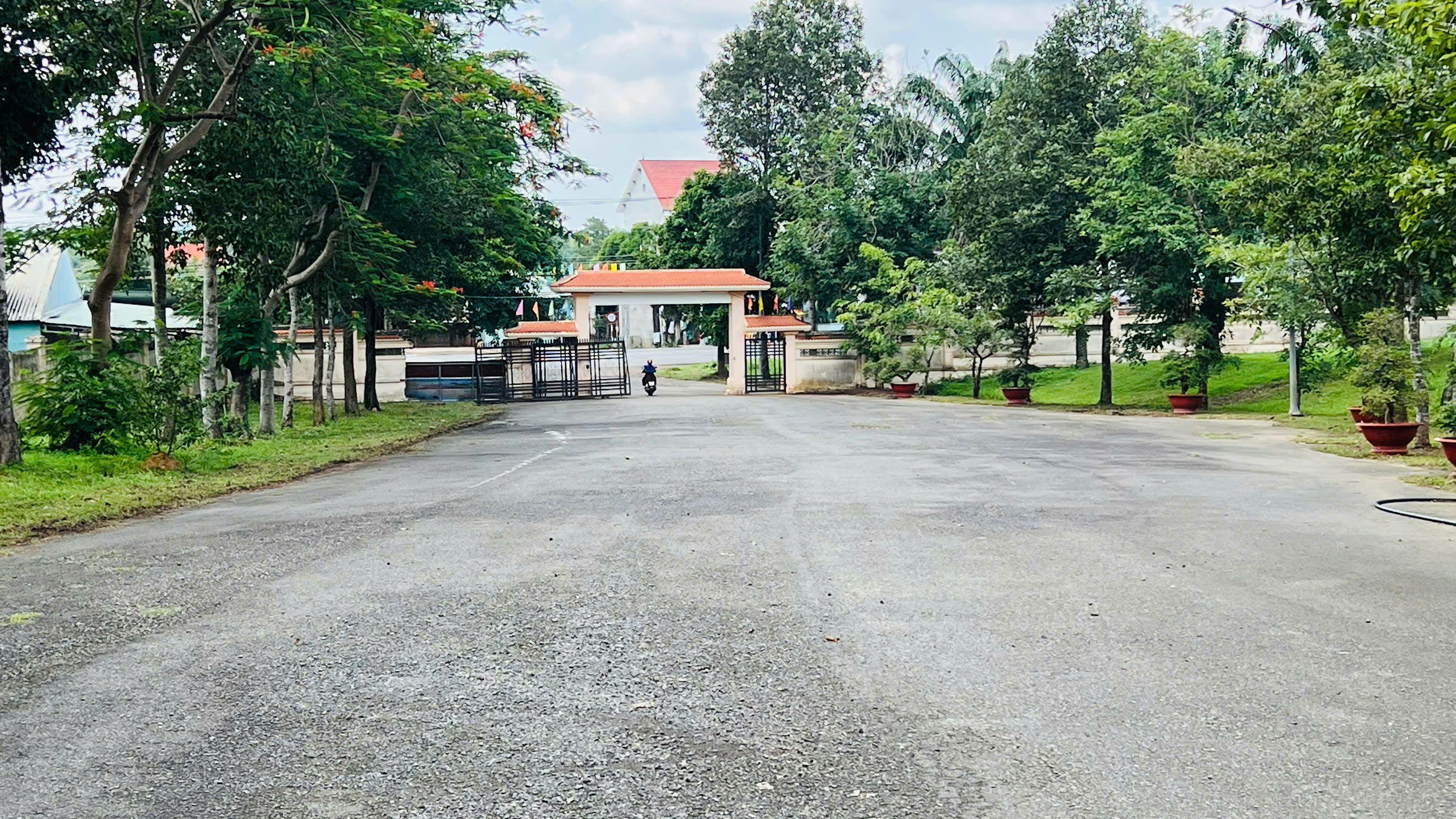 Hình Cổng vào Nghĩa trang sau Chi đoàn Sở Nội vụ tổ chức dọn dẹp