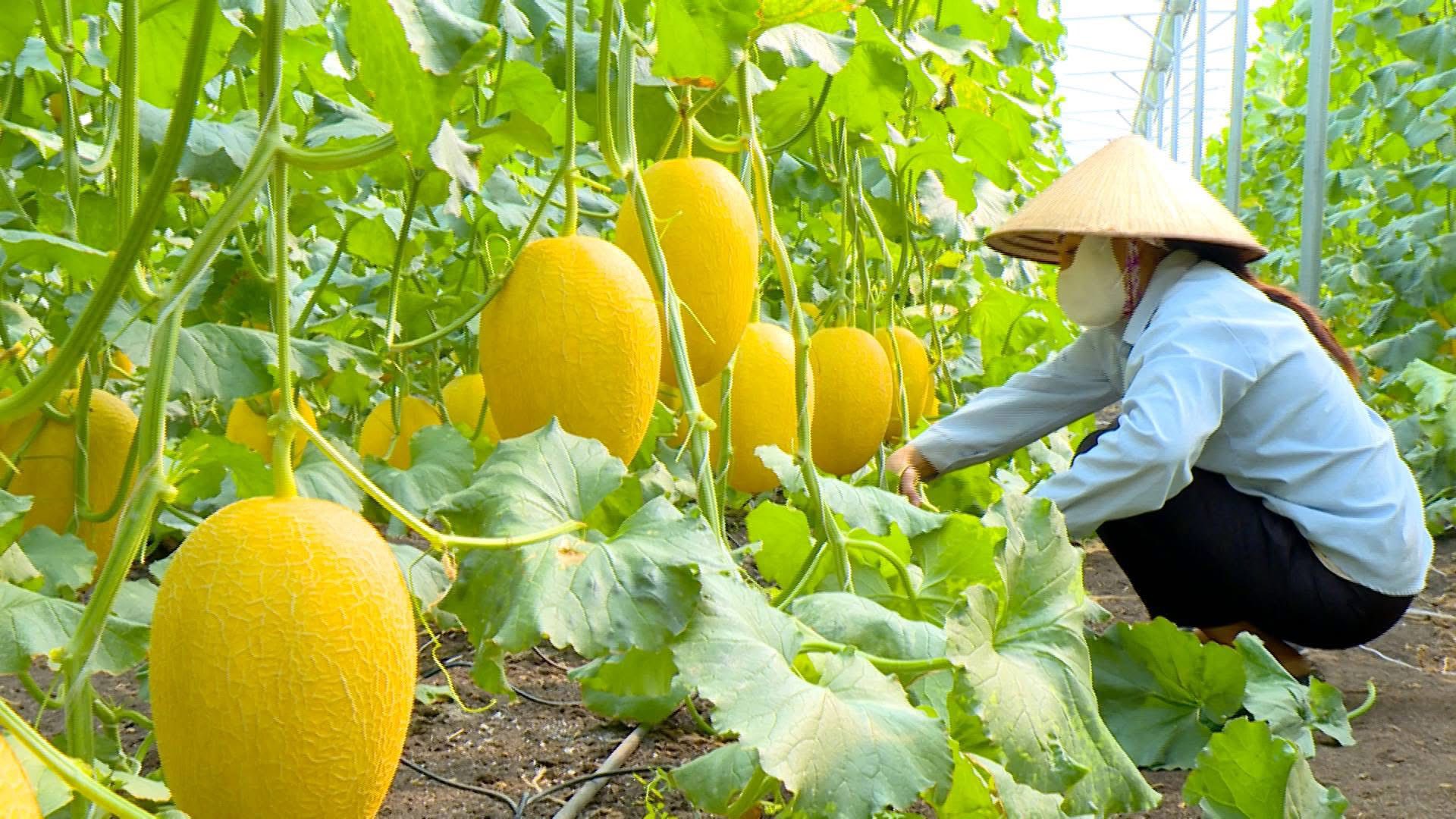 623271265 122108201469210804 4530544696149763585 n