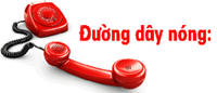 Đường dây nóng