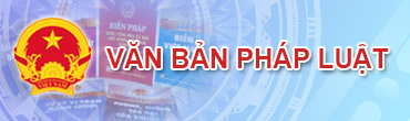 Văn bản