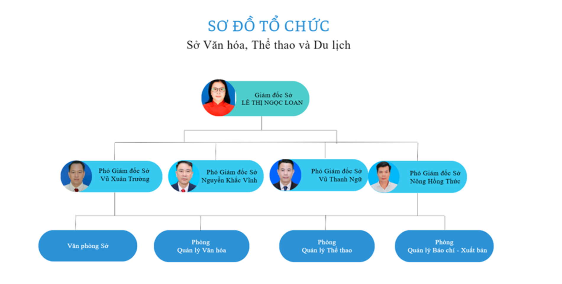 Sơ đồ, Cơ cấu tổ chức