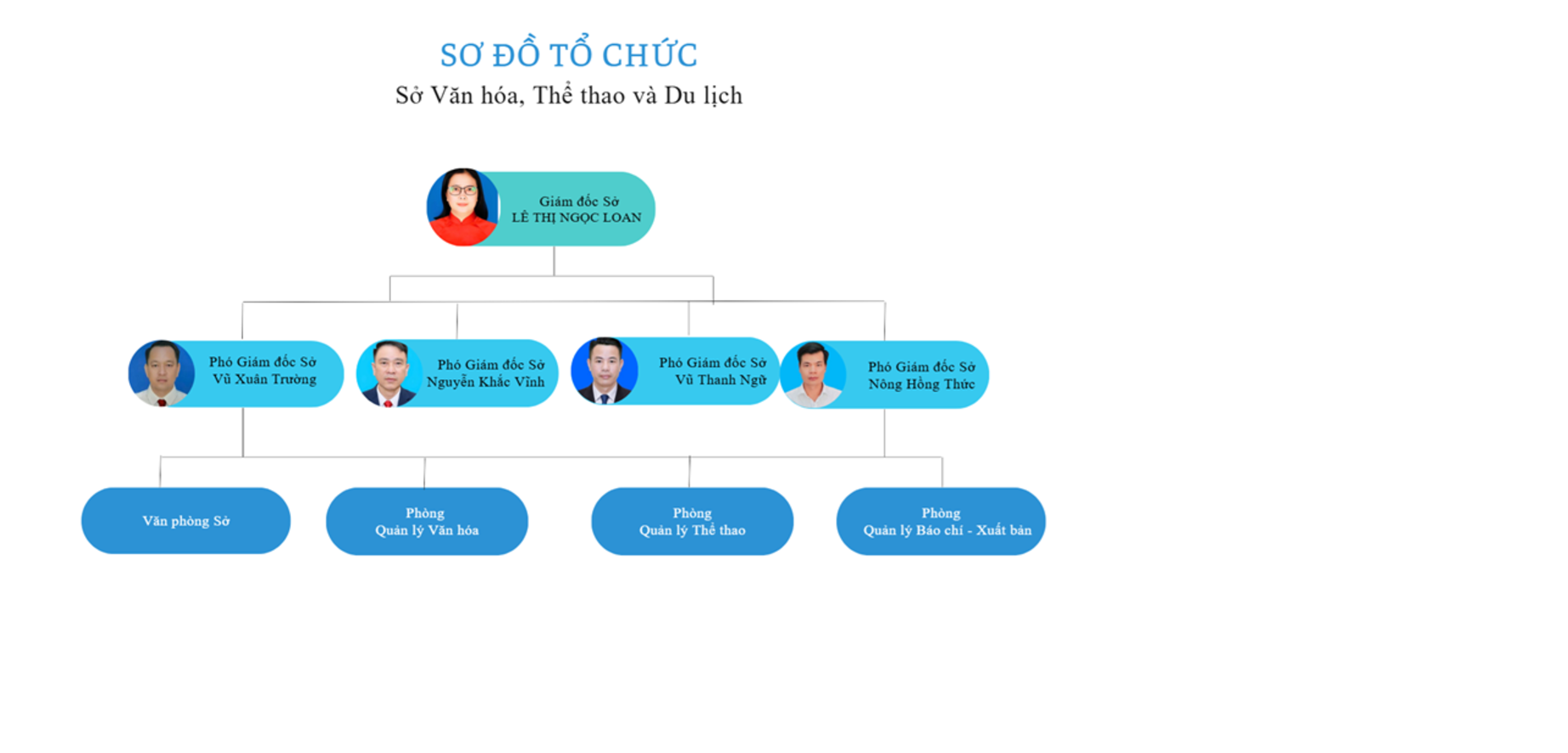 sơ đồ tổ chức Sở