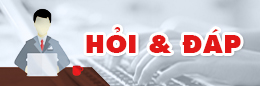 Hỏi đáp