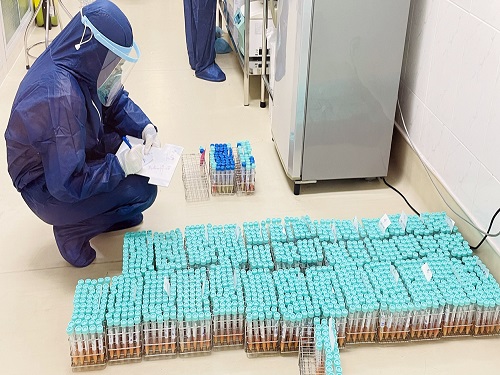 mau xn1.jpg?t=1762423301