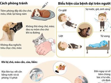 Chủ động phòng, chống bệnh dại – bảo vệ sức khỏe cộng đồng