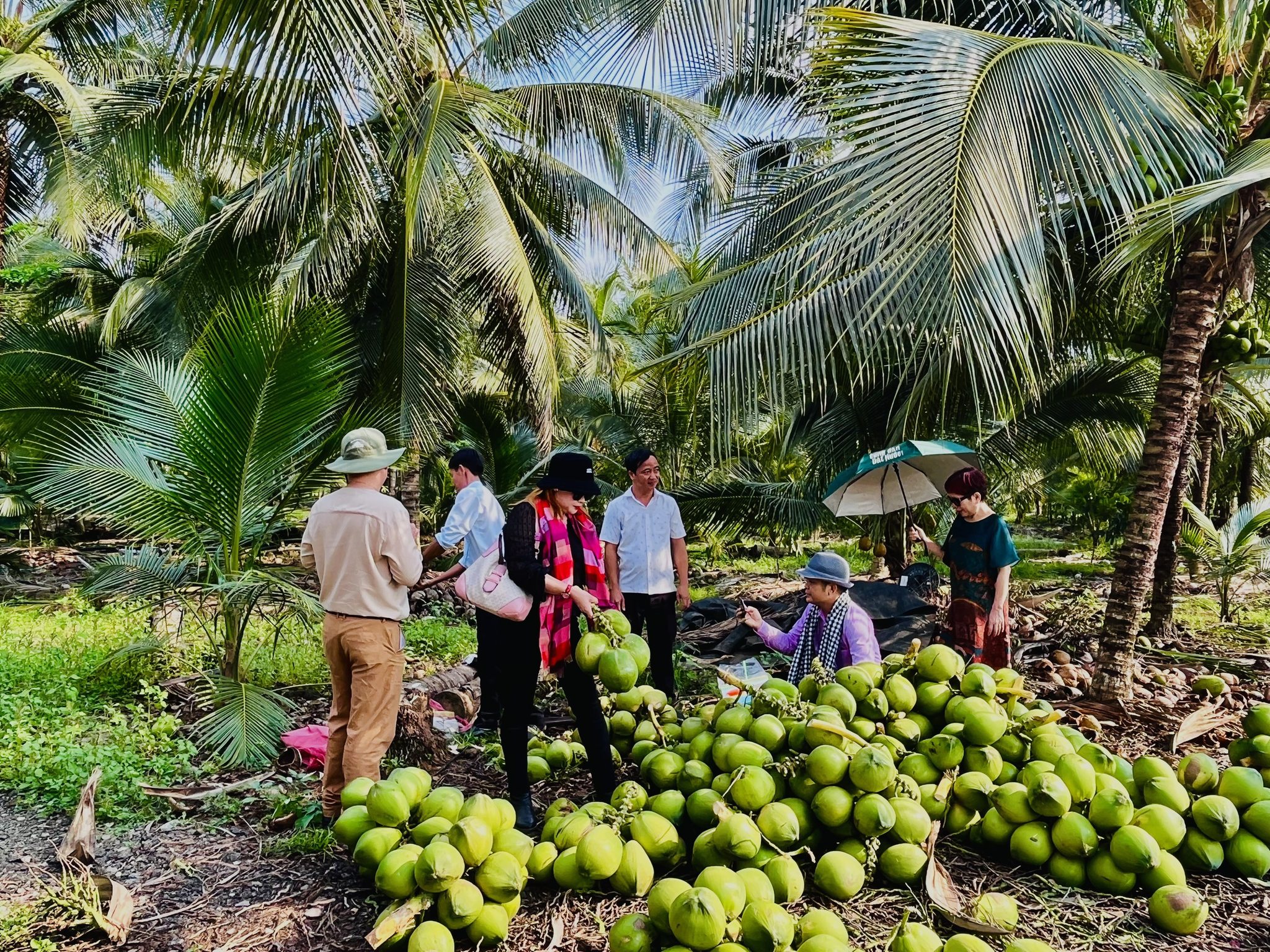 Tà Lài: Định hướng phát triển nông nghiệp hữu cơ tuần hoàn, công nghệ cao, nâng tầm sản phẩm địa phương.