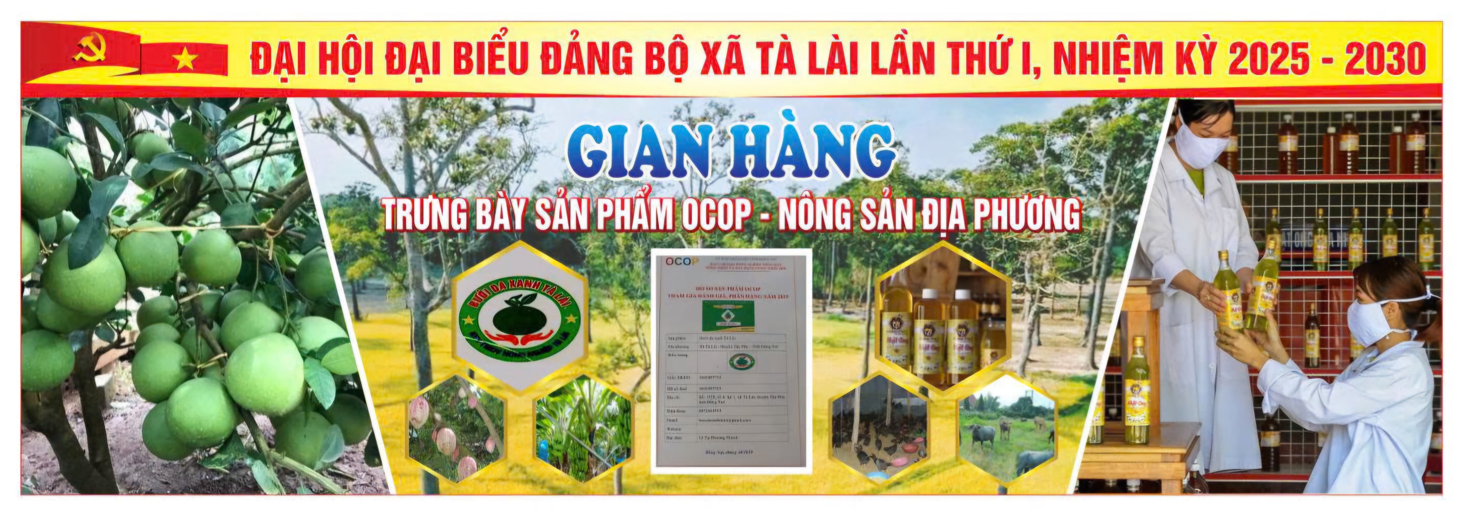 528601570 777569128262667 7473734478210351074 n