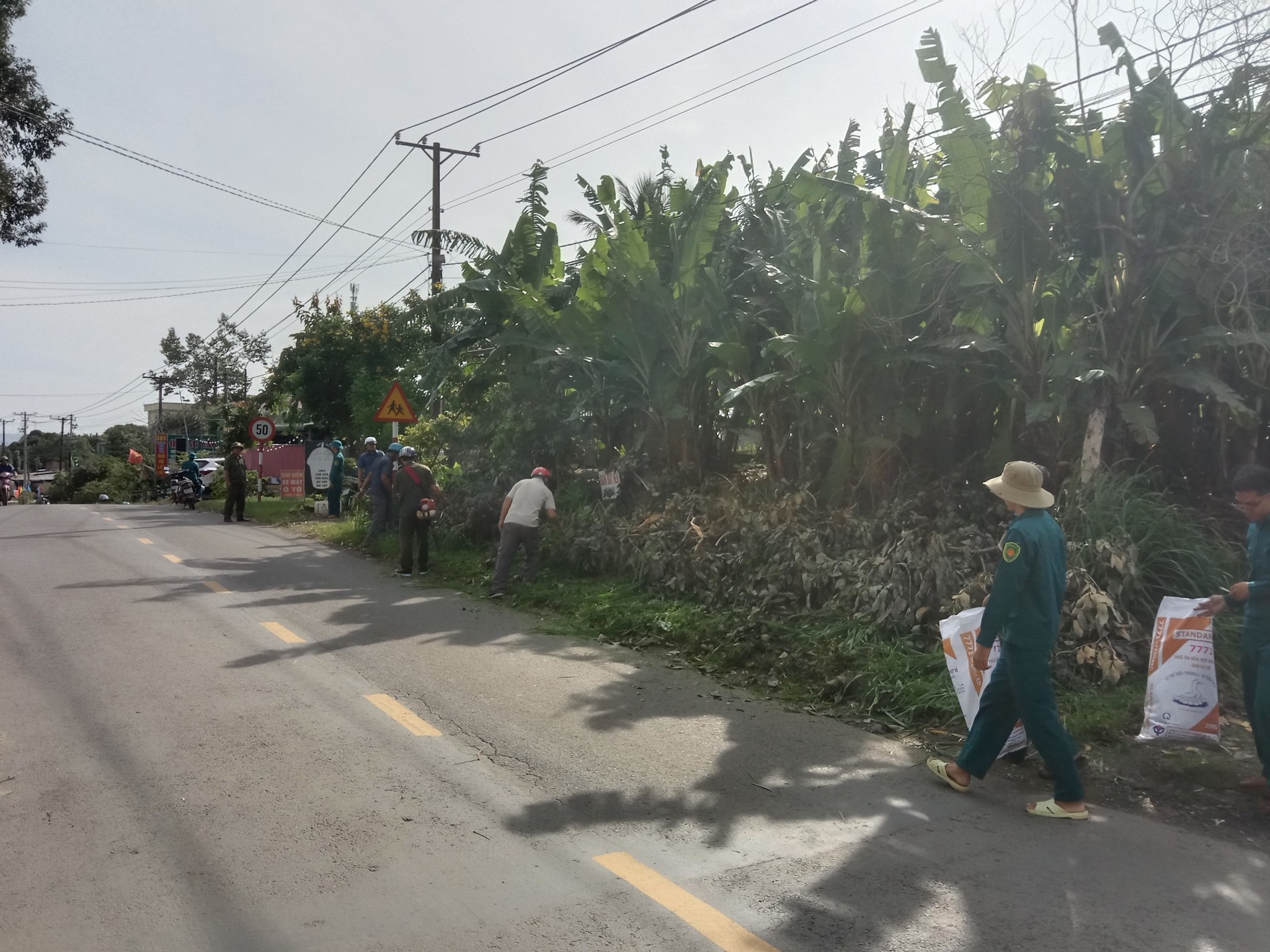 529018914 782980668225875 1608093907927804474 n