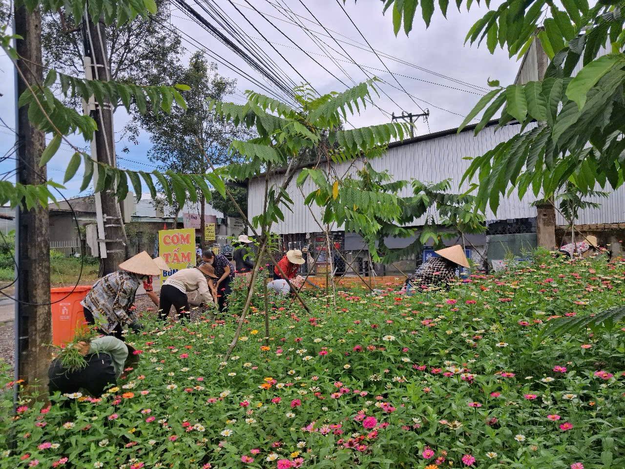 558877443 828862163133363 3728098180031596355 n