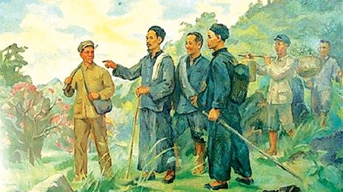 55