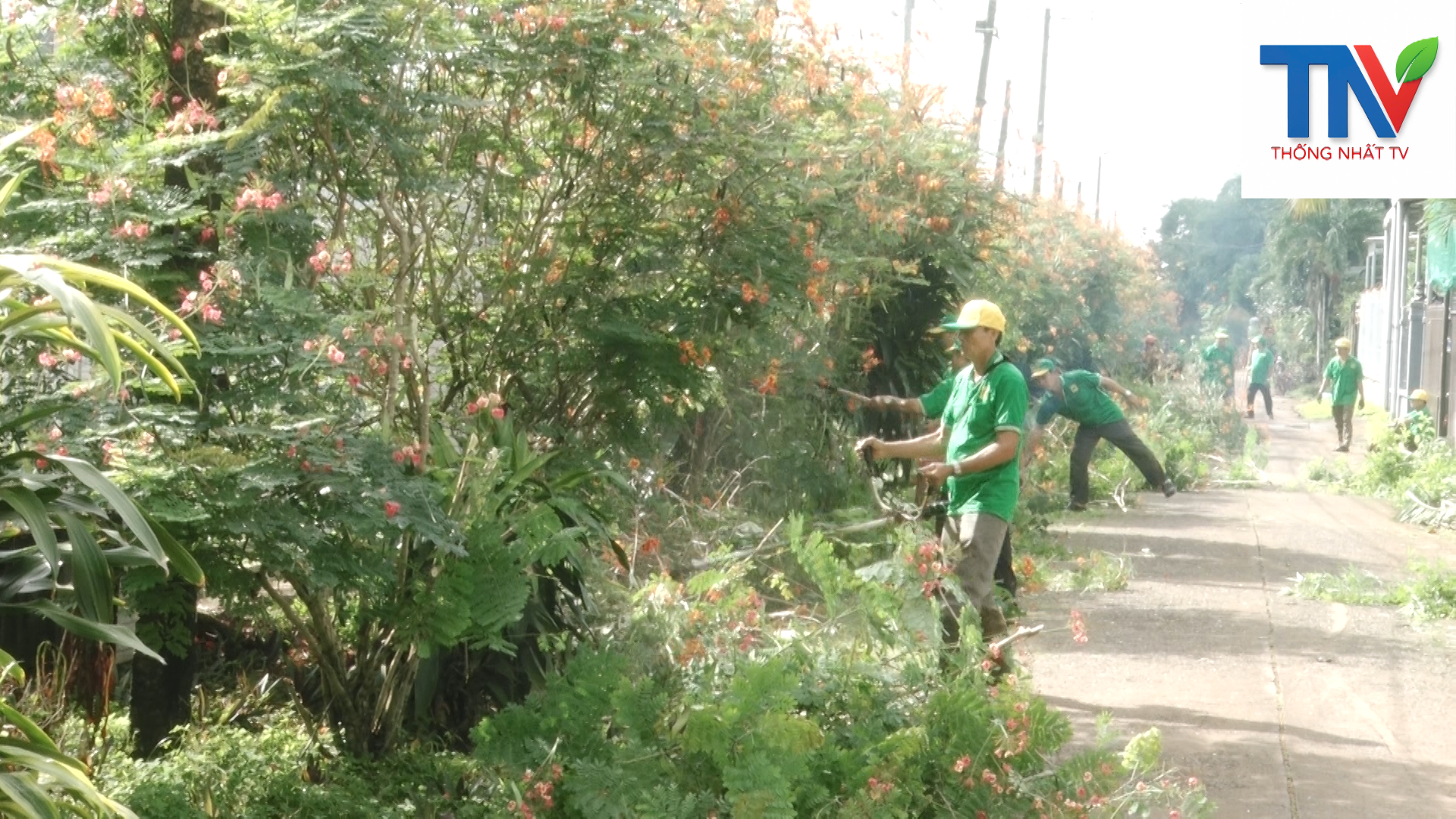 Ban chấp hành Hội Nông dân xã Thống Nhất tham gia dọn dẹp vệ sinh tại tuyến đường