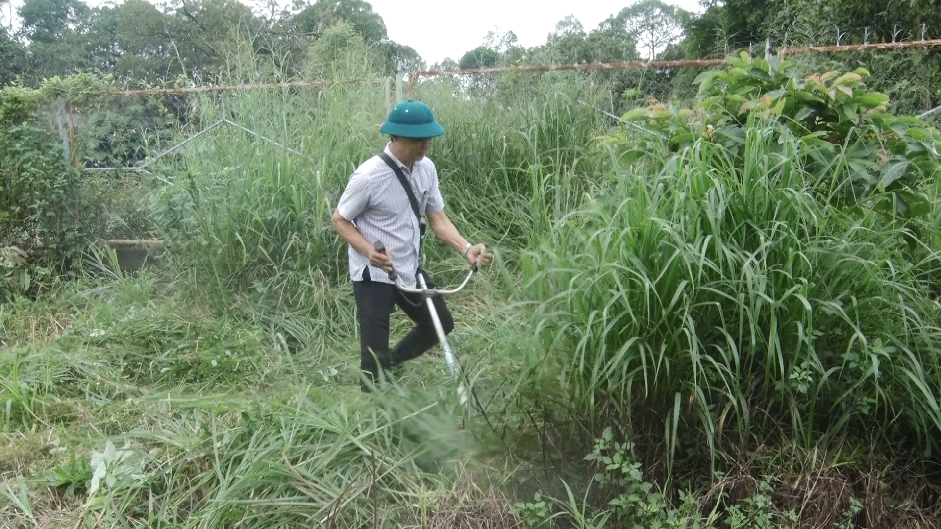 Đồng chí Trịnh Văn Trường bí thư Đảng ủy, Chủ tịch HĐND xã tham gia vệ sinh tuyến đường Bến Cá