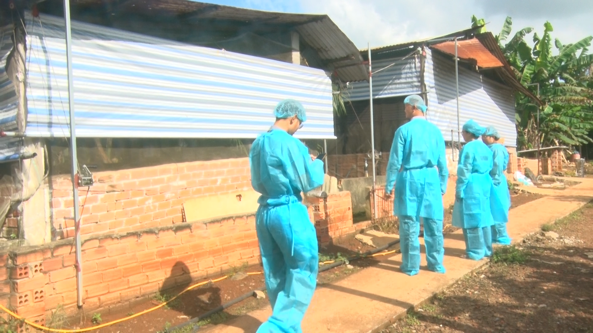 Lập biên bản cơ sở chăn nuôi heo không đăng ký môi trường