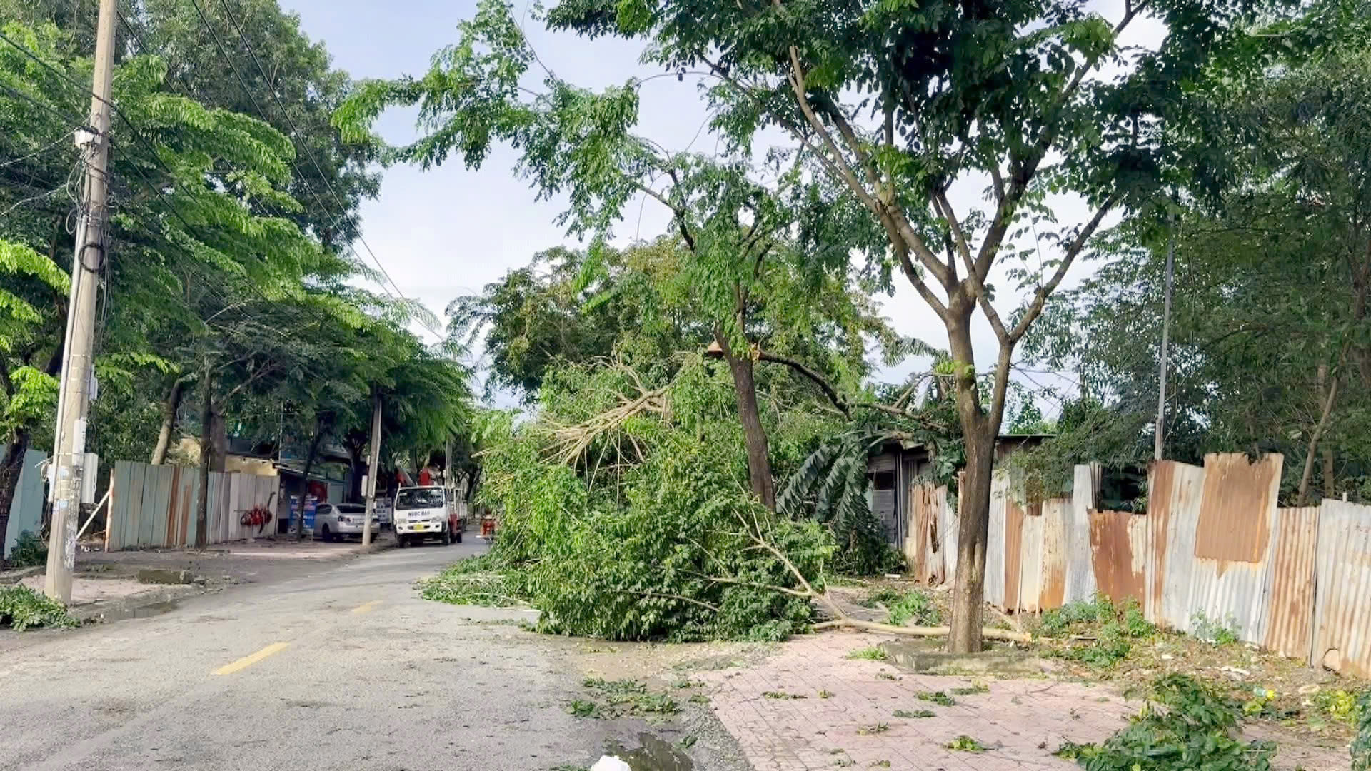 cây cối ngã đổ trên các tuyến đường . Ảnh : Vũ Thế Khang