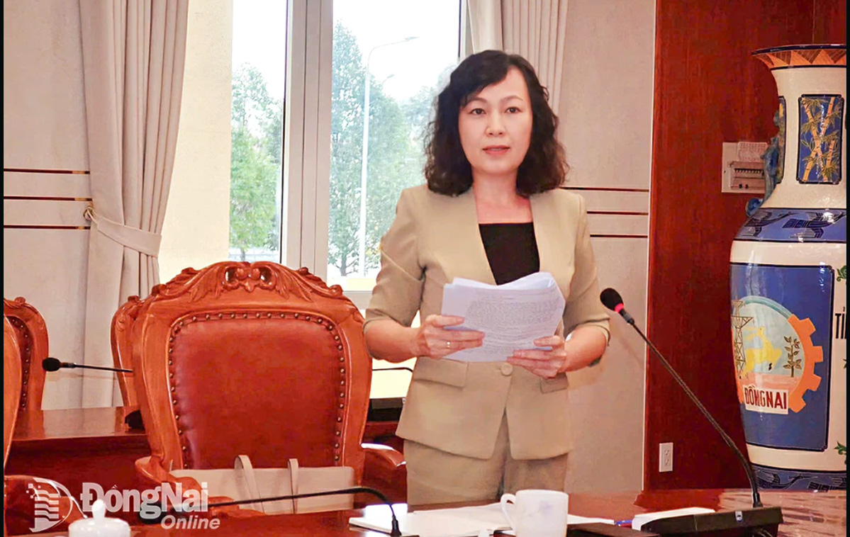 Đồng chí Huỳnh Thị Hằng, Phó bí thư Tỉnh ủy phát biểu tại phiên họp. Ảnh: Phương Hằng