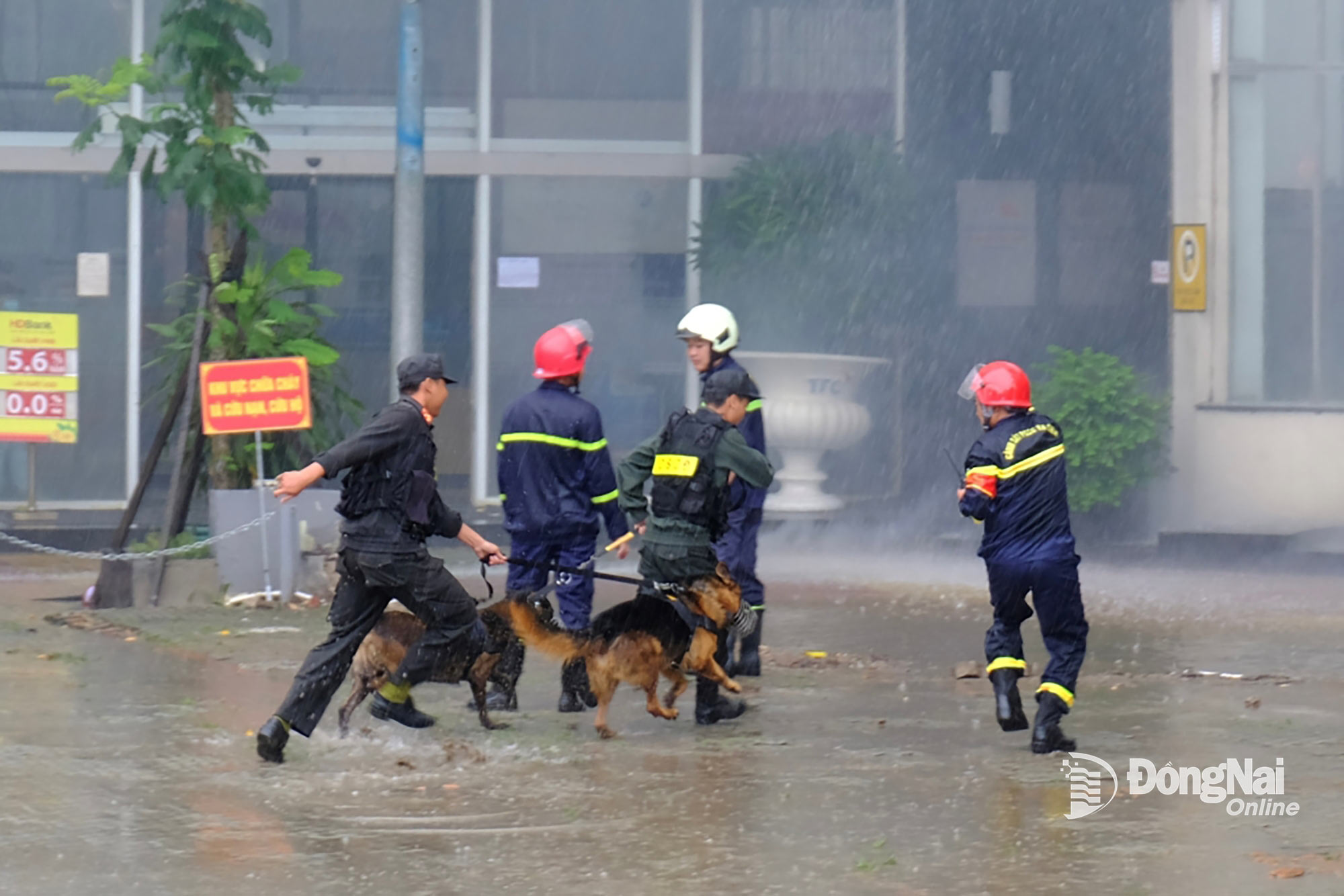 Lực lượng Cảnh sát Cơ động đưa chó nghiệp vụ vào hiện trường tìm kiếm người gặp nạn. Ảnh: Đăng Tùng