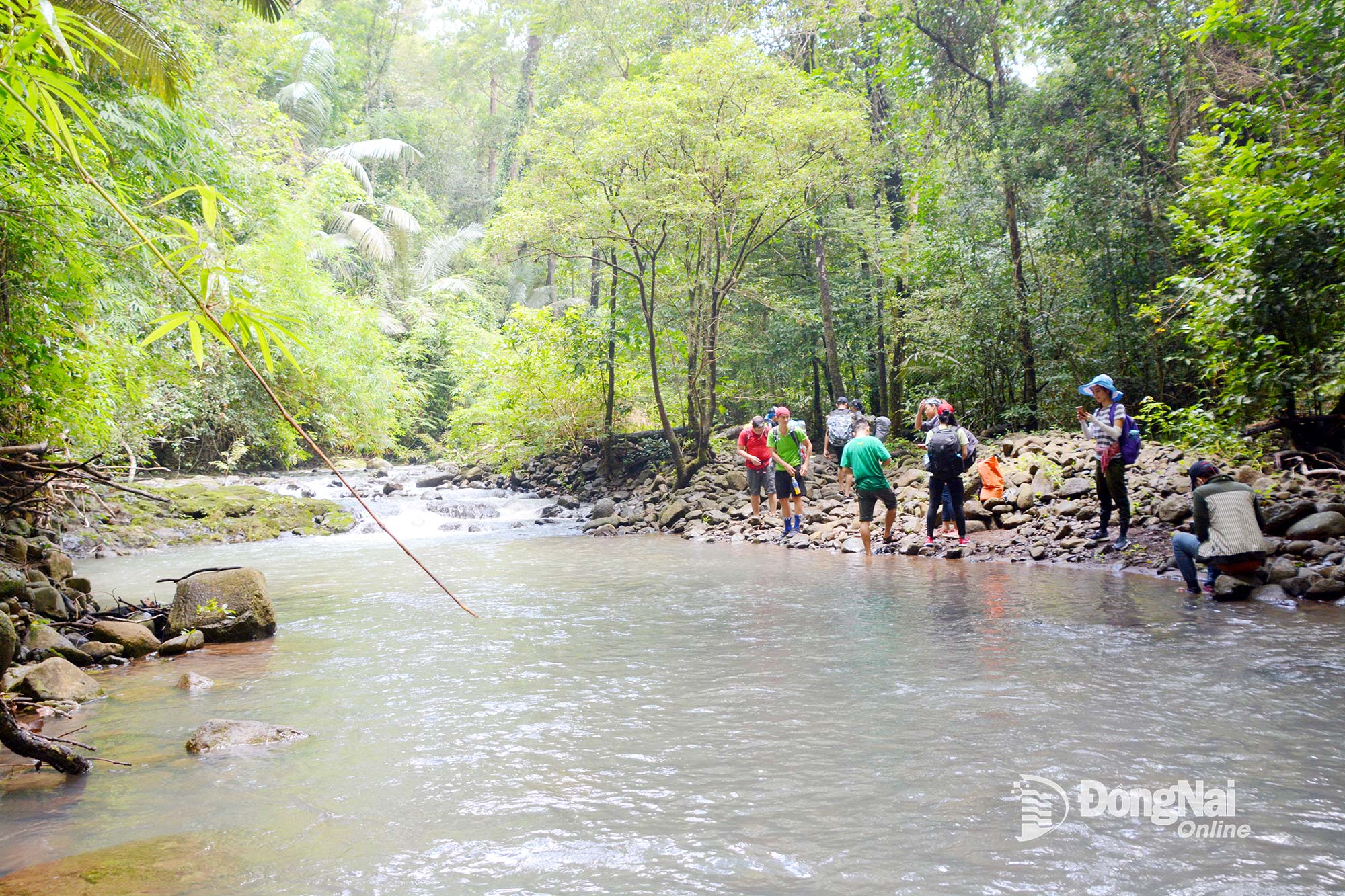 Từng đoàn khách du lịch tìm đến Vườn quốc gia Bù Gia Mập trong dịp này để lắng nghe “tiếng rừng” thời điểm giao mùa
