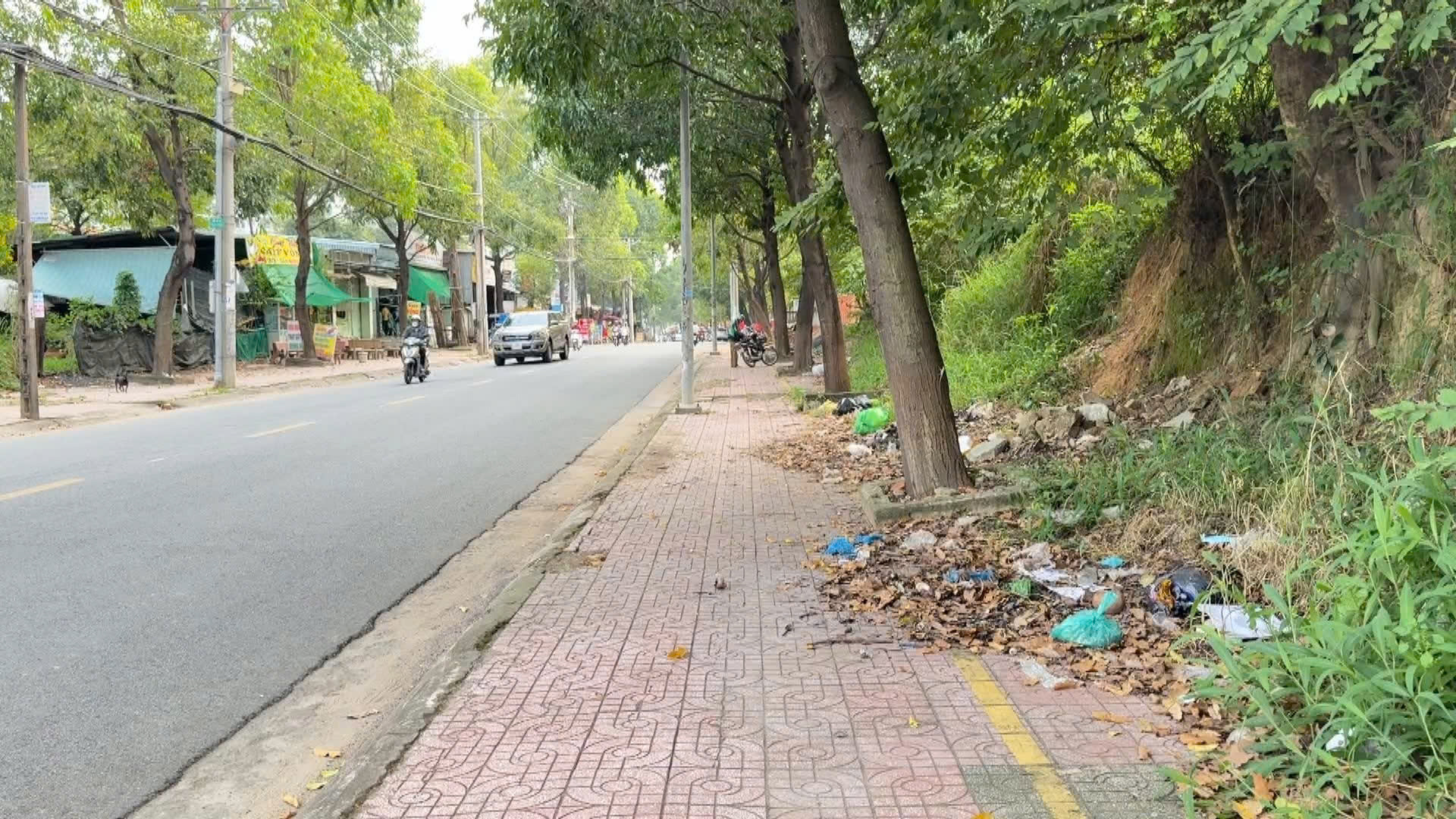 Tuyến đường Nguyễn Du