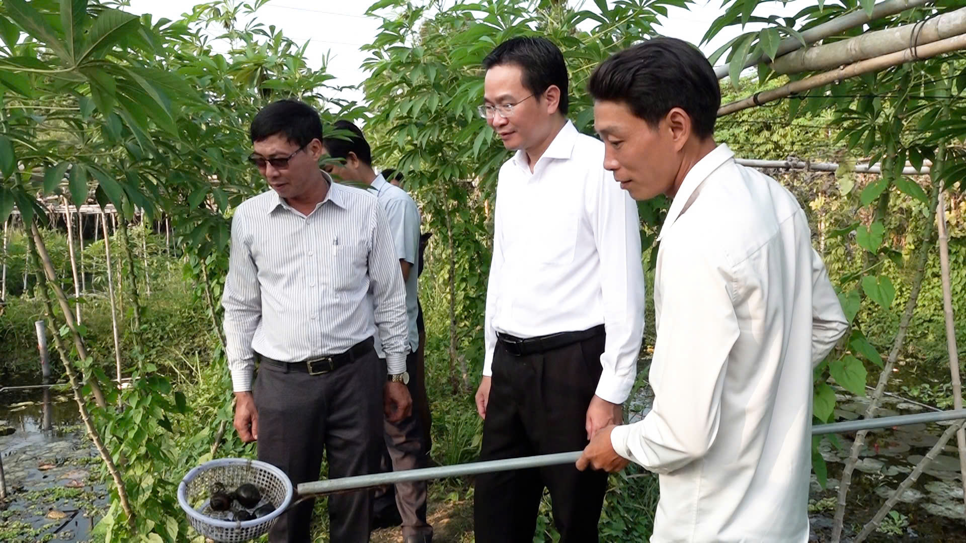 Ông Nguyễn Văn Giang, Phó Chủ tịch phụ trách Hội Nông dân tỉnh Đồng Nai cùng Hội Nông dân các phường thuộc Cụm thi đua số 1 tham quan thực tế mô hình nuôi ốc bươu đen của anh Trần Ngọc Tân