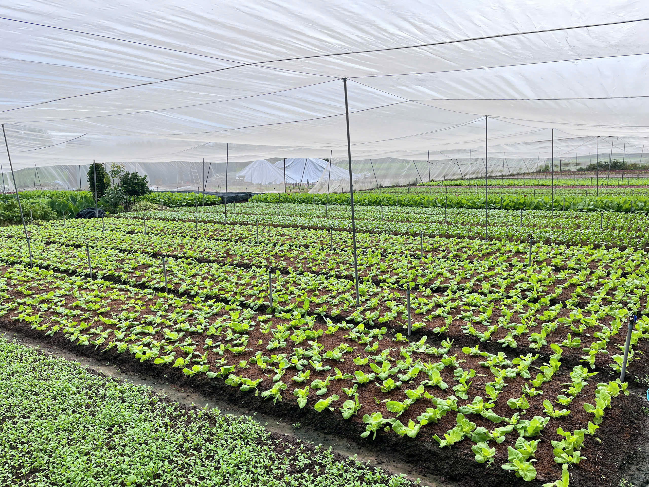 gen h z6946109855978 aee9aa2f372ab345aec29f4334bdfe2a