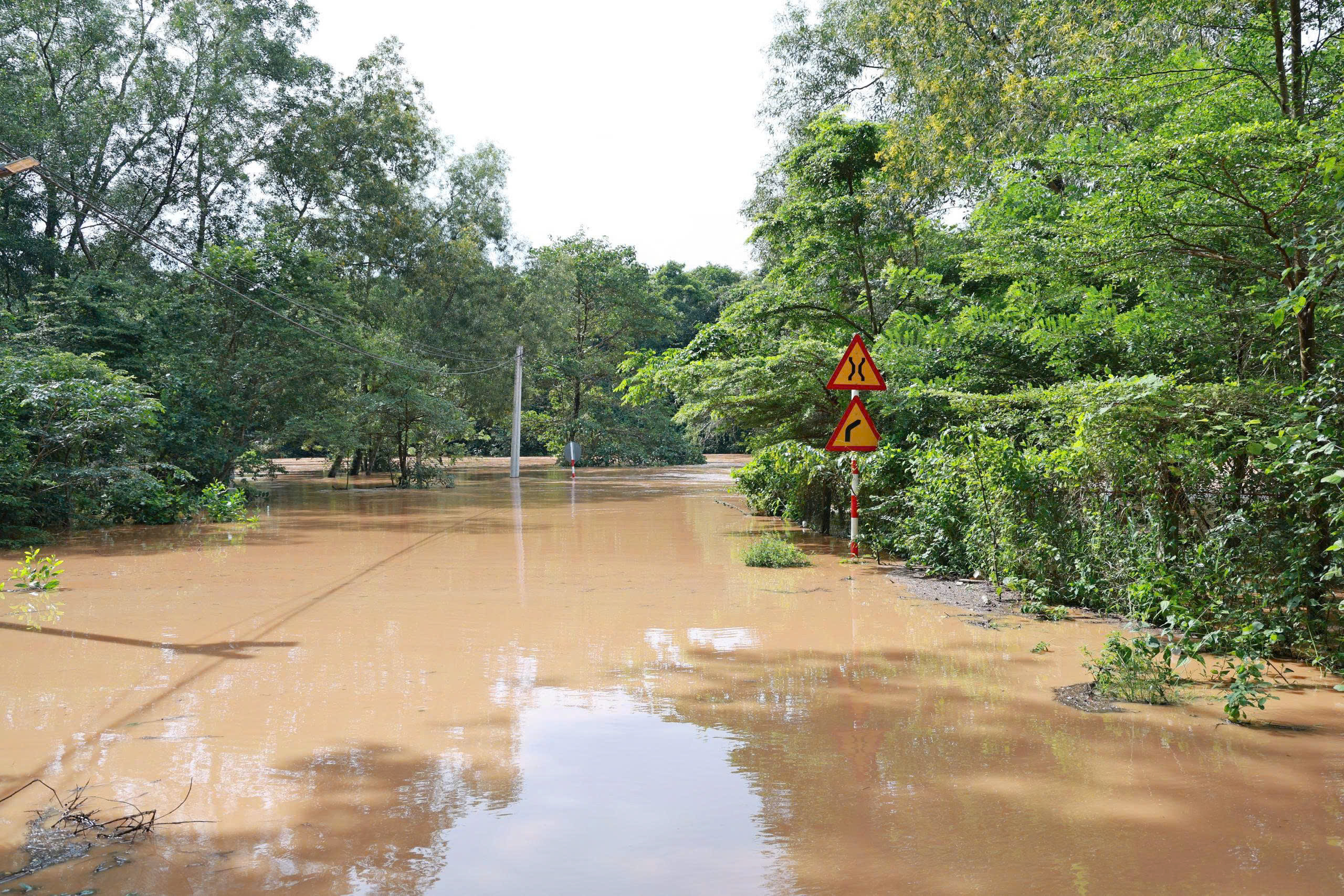 gen h z7003221644387 193f33d3d3d5b0da229f63a5da3612f1