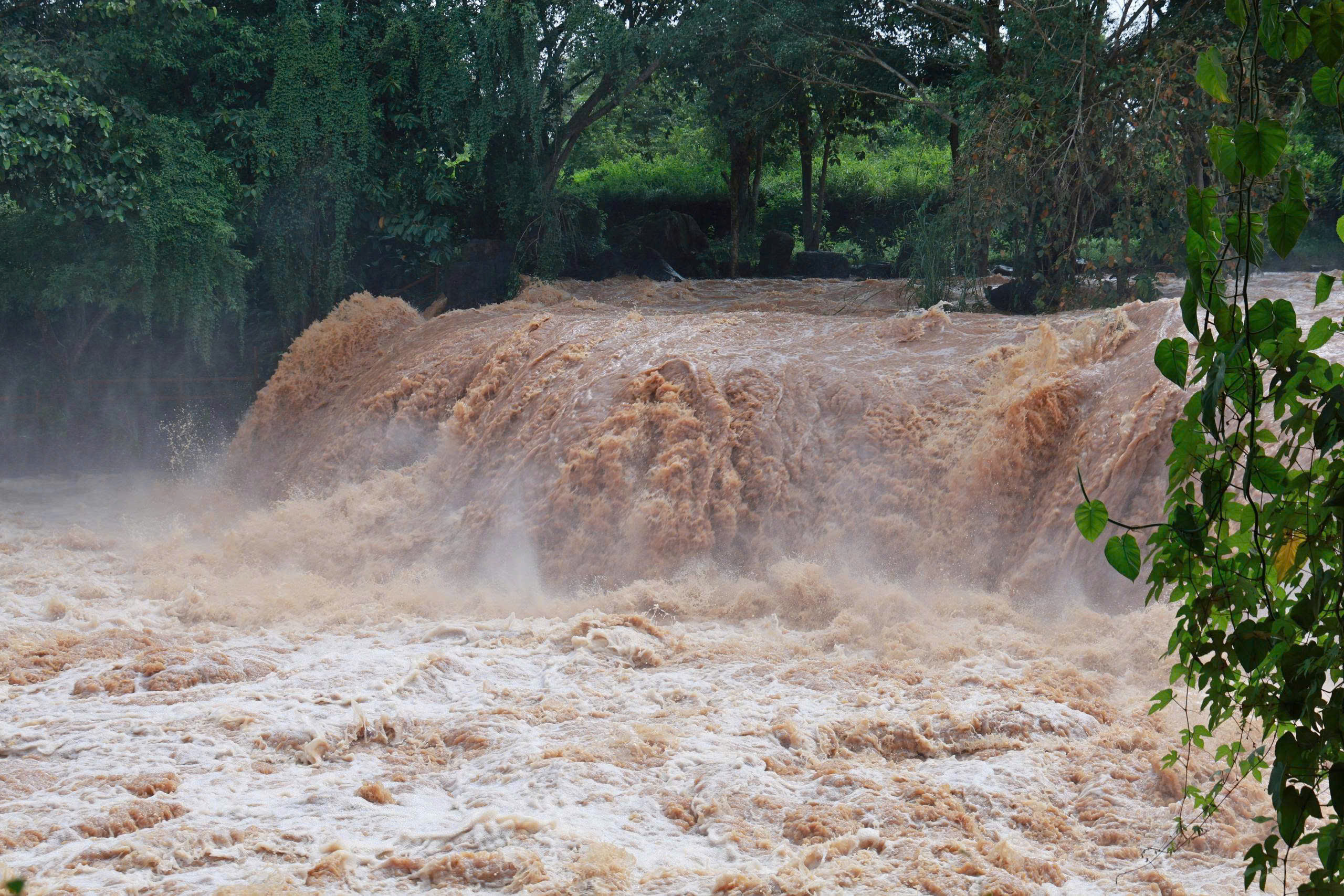 gen h z7003221677082 df560fe8c52013f30e428842e91a3090