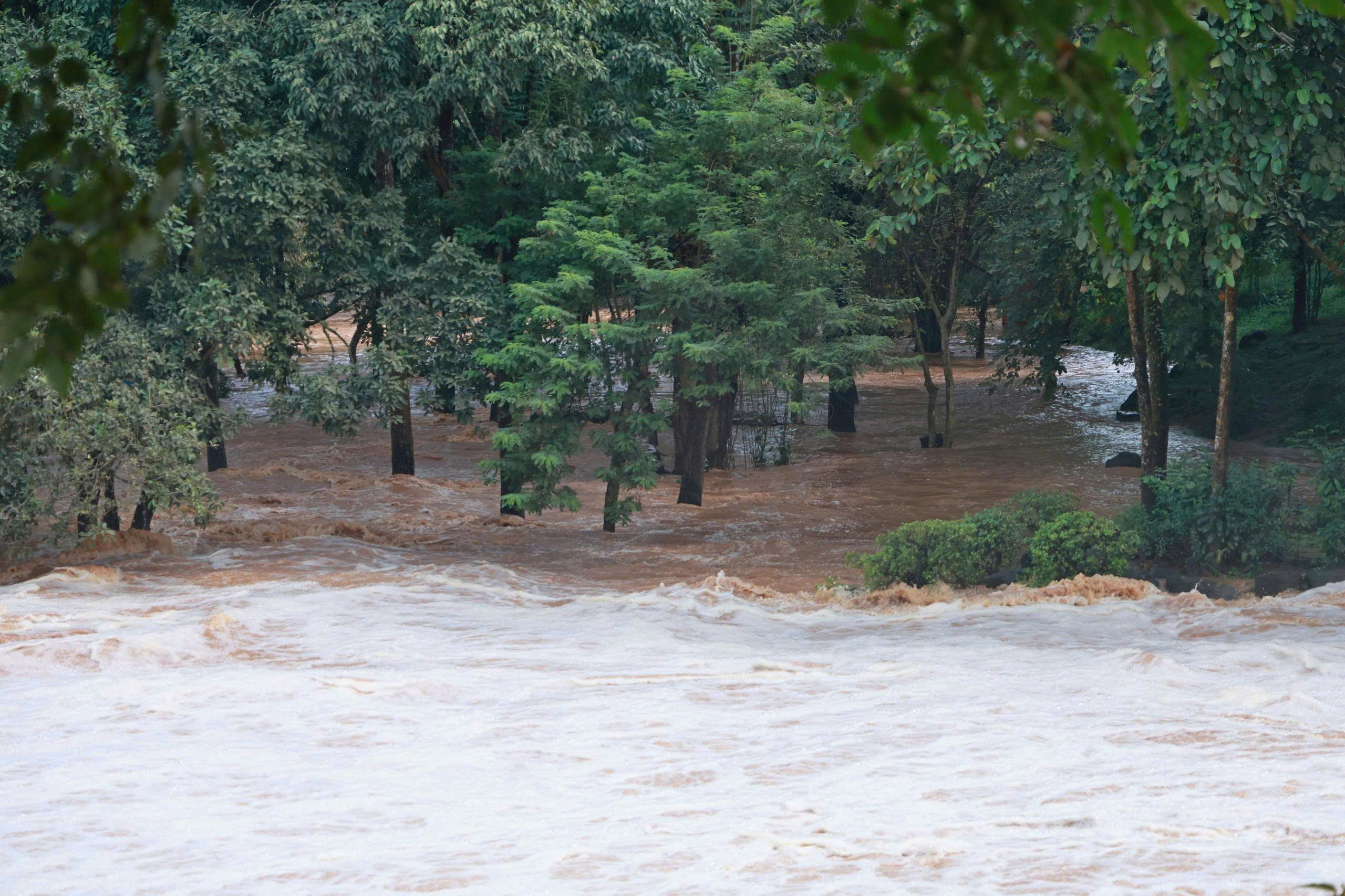 gen h z7003221685676 717844f3ade4c3ba0ce3207bfaeae5d6