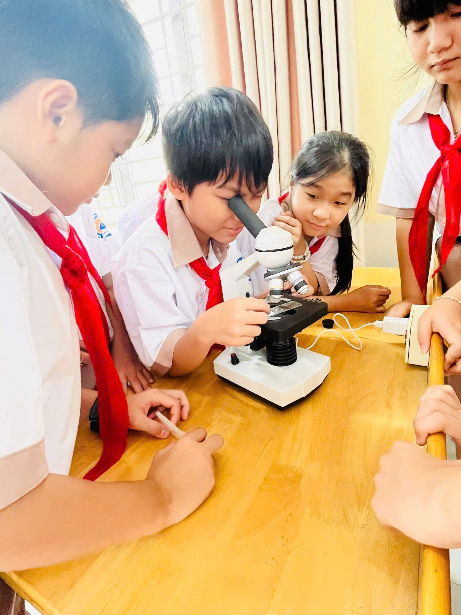 z7048228196427 28176472b358bc05623095214cb75317