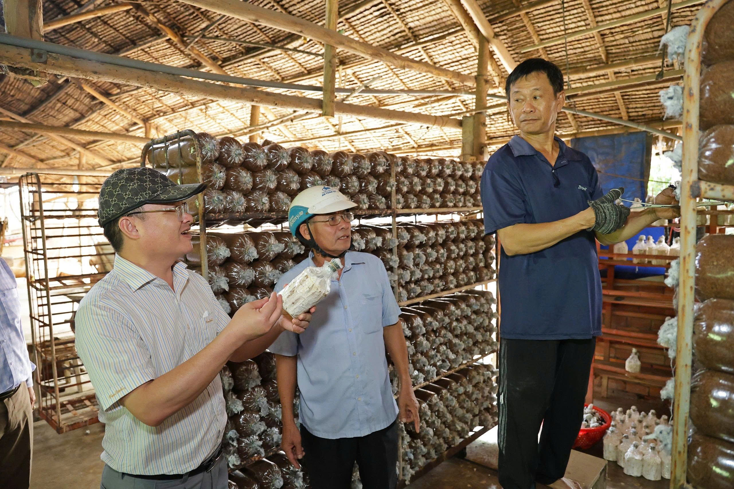 gen h z7102280890262 1a3d1bc77418ec0c67f7e0efe30dd932