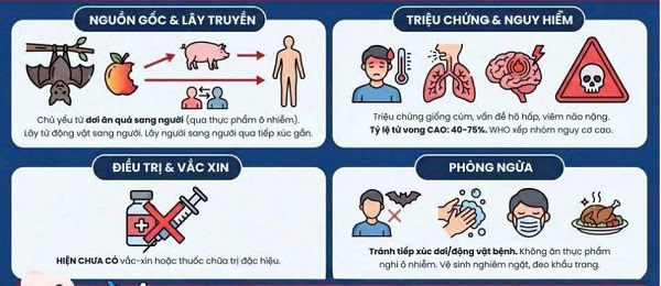 9 4 2026 Tăng cường tuyên truyền phòng, chống dịch bệnh do vi rút Nipah trên địa bàn xã Trị An (2)