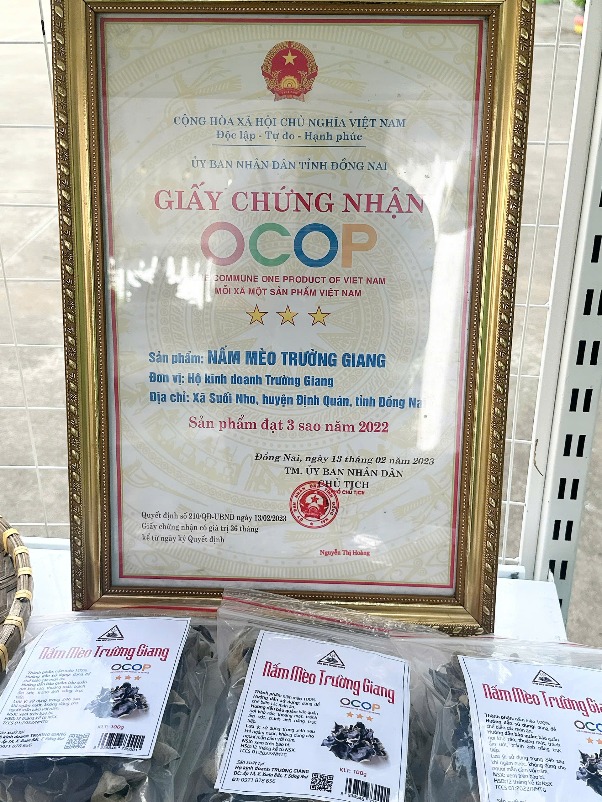 z7147863613659 38efa83a44dcc4c6895469756079201d