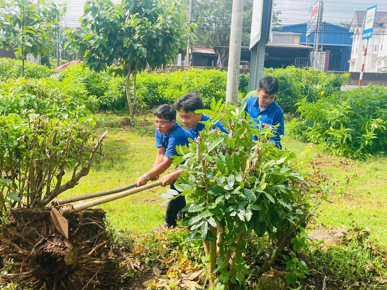 Công an, dân quân và các thanh niên dọn dẹp chuẩn bị cho công tác Đại hội