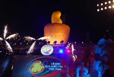 Đồng Nai tổ chức Lễ hội Quả Điều vàng năm 2026 – quảng bá thương hiệu, nâng tầm giá trị ngành điều