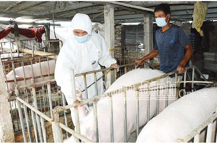 CHỦ ĐỘNG PHÒNG, CHỐNG DỊCH BỆNH TRÊN GIA SÚC, GIA CẦM, THỦY SẢN VÀ BỆNH DẠI