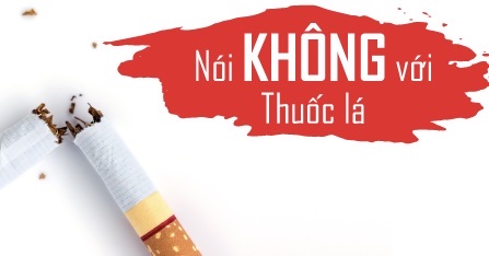 PHÒNG, CHỐNG TÁC HẠI CỦA THUỐC LÁ; HƯỞNG ỨNG NGÀY THẾ GIỚI KHÔNG THUỐC LÁ 31/5 VÀ TUẦN LỄ QUỐC GIA KHÔNG THUỐC LÁ NĂM 2026