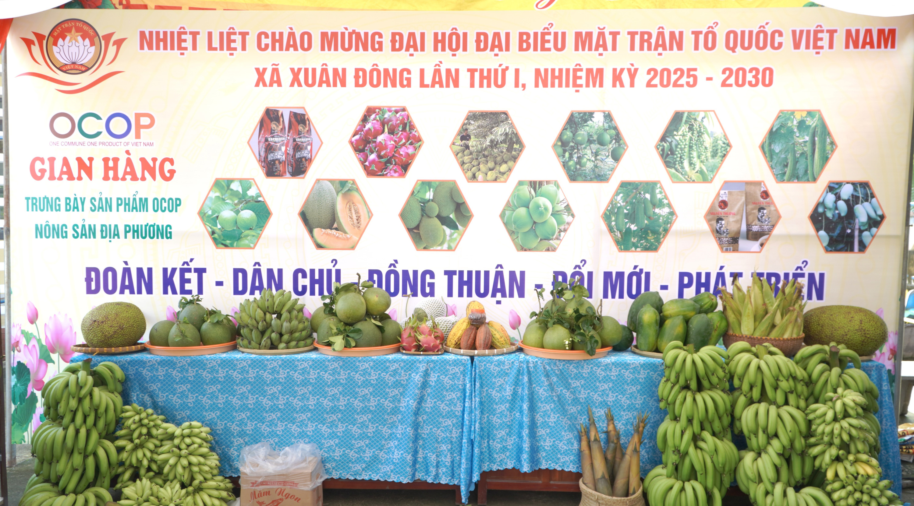 MAT TRAN 2