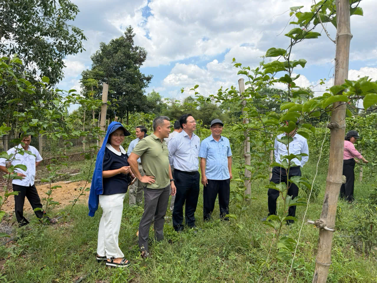 1f1edd88df05515b0814