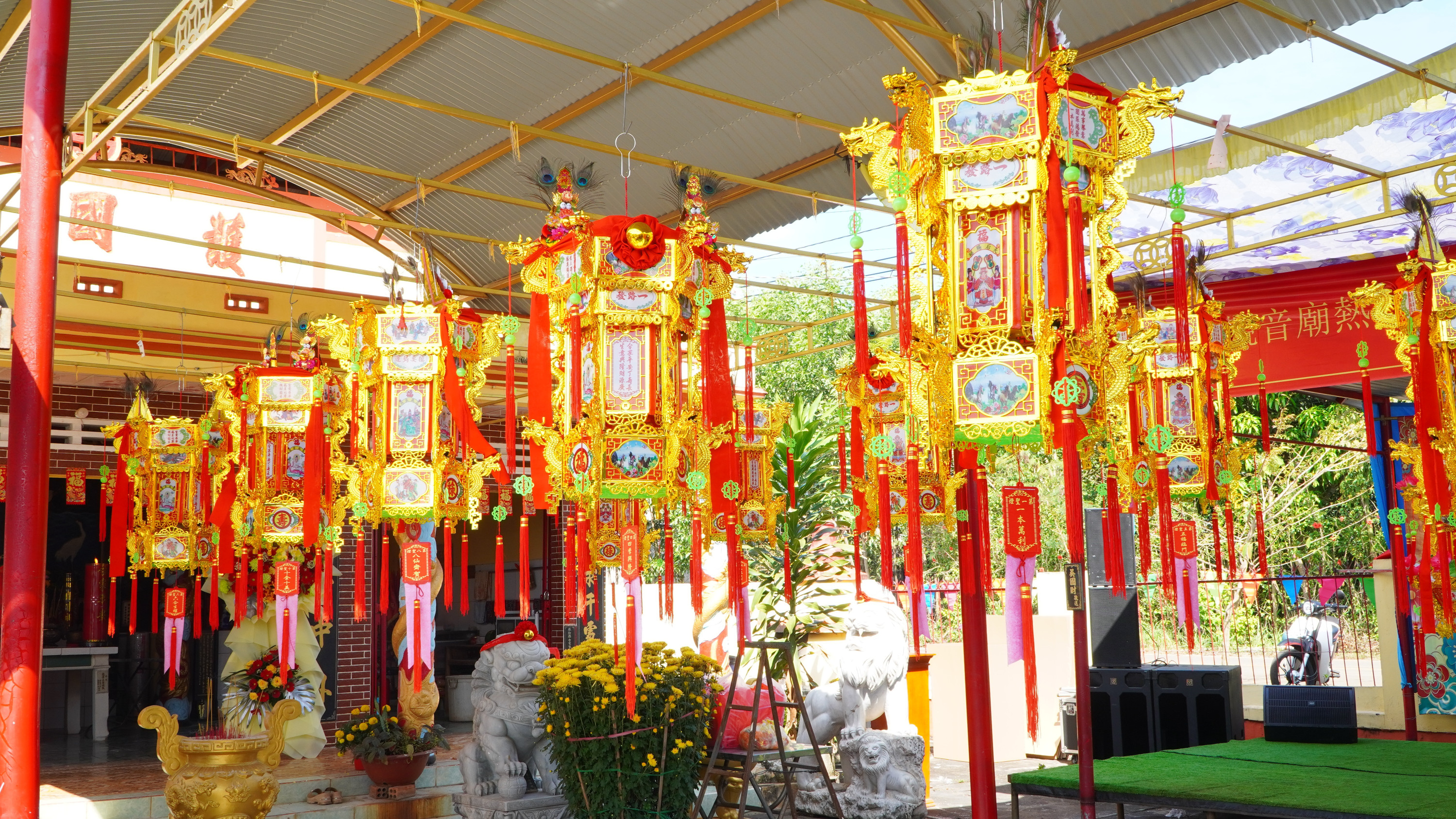 DAU DEN 5
