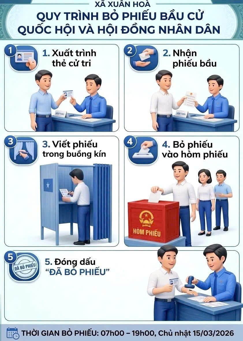 QUY TRÌNH 5 BƯỚC KHI ĐI BẦU CỬ