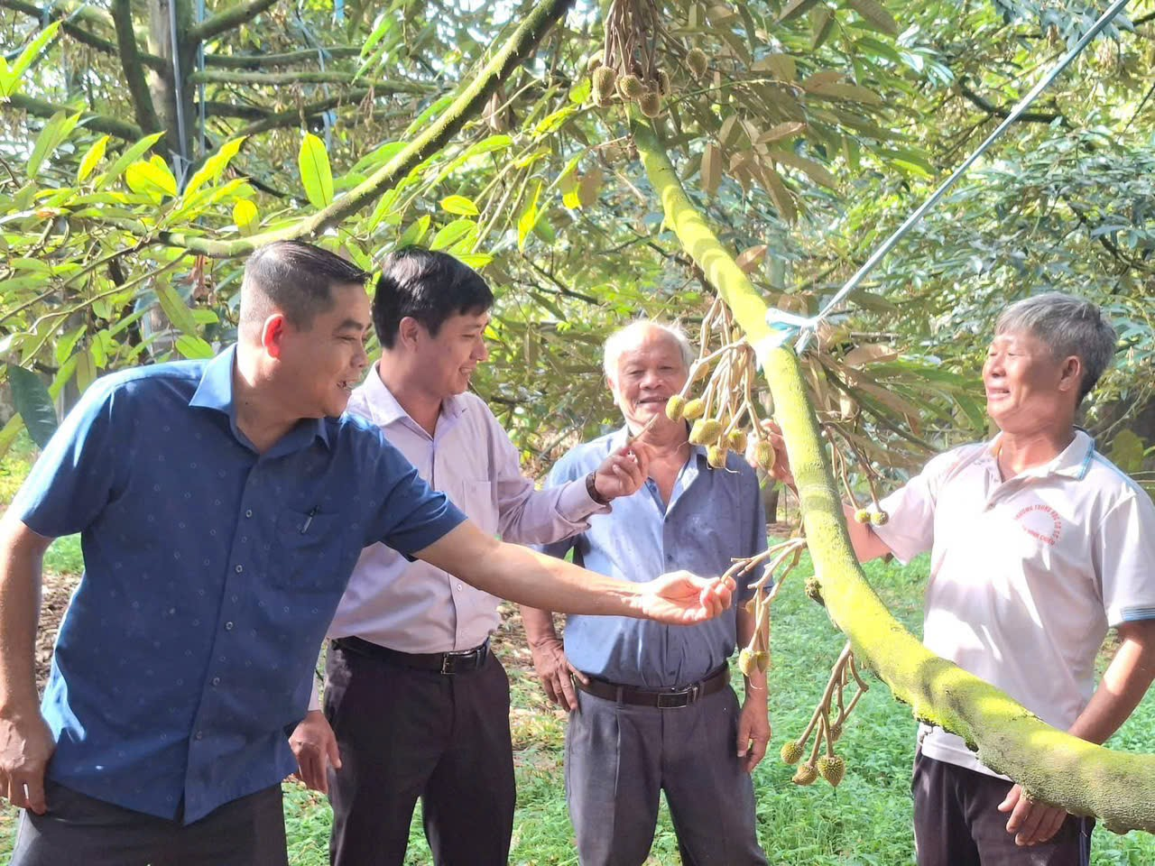 LÃNH ĐẠO ĐẢNG ỦY XÃ ĐI THĂM VƯỜN SẦU RIÊNG VÀ CHÔM CHÔM TRÊN ĐỊA BÀN XÃ XUÂN HÒA