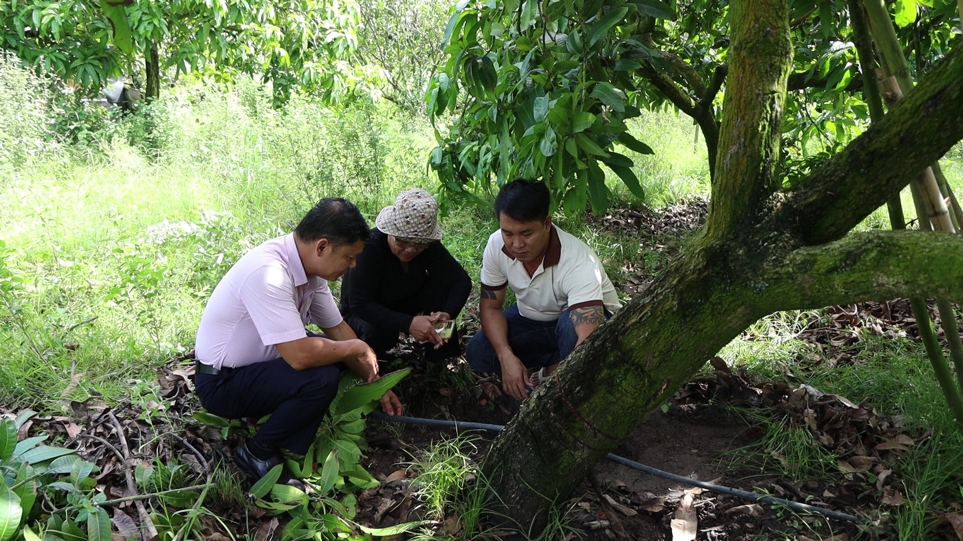 anh đông giới thiệu hệ thống tưới nước tiết kiệm mới được đầu tư