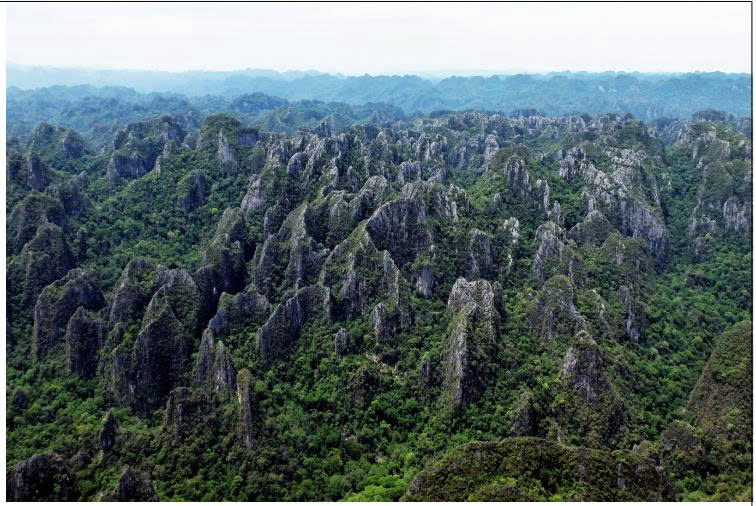 z6902613360863 c2b778dc9a853bcf7d5c2a25a2f2a7b5