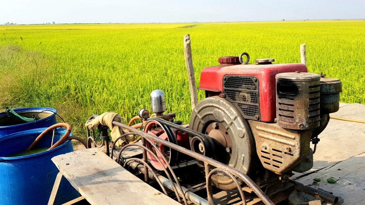 MỘT SỐ BIỆN PHÁP KHẮC PHỤC HẬU QUẢ DO MƯA BÃO TRÊN CÂY TRÔNG