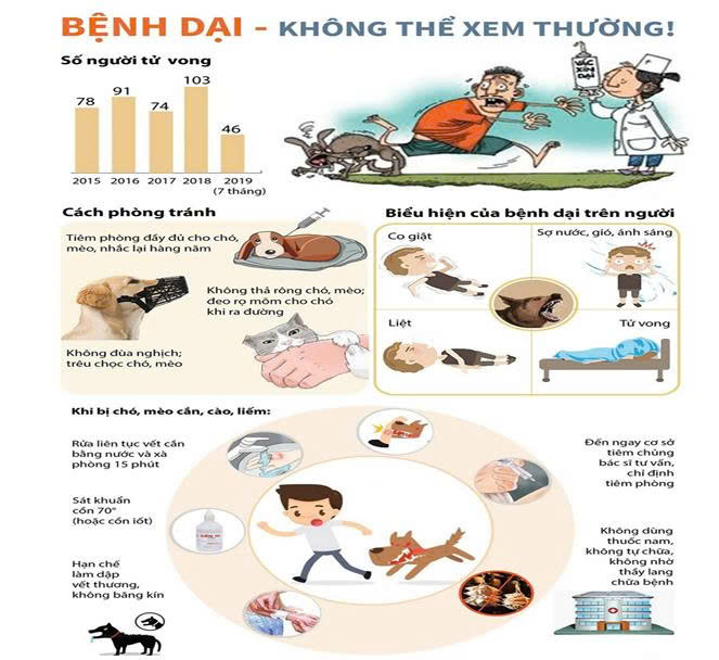 BÀI TUYÊN TRUYỀN CÁC QUY ĐỊNH VỀ PHÒNG BỆNH DẠI