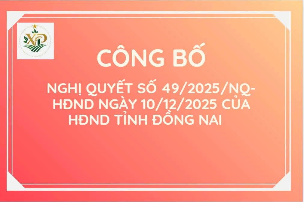 Công bố Nghị quyết số 49/2025/NQ-HĐND của HĐND tỉnh Đồng Nai quy định chế độ hỗ trợ kinh phí đối với người trực tiếp tham gia công tác giải quyết, tố giác tin báo về tội phạm và kiến nghị khởi tố, điều tra, truy tố, xét xử vụ án hình sự