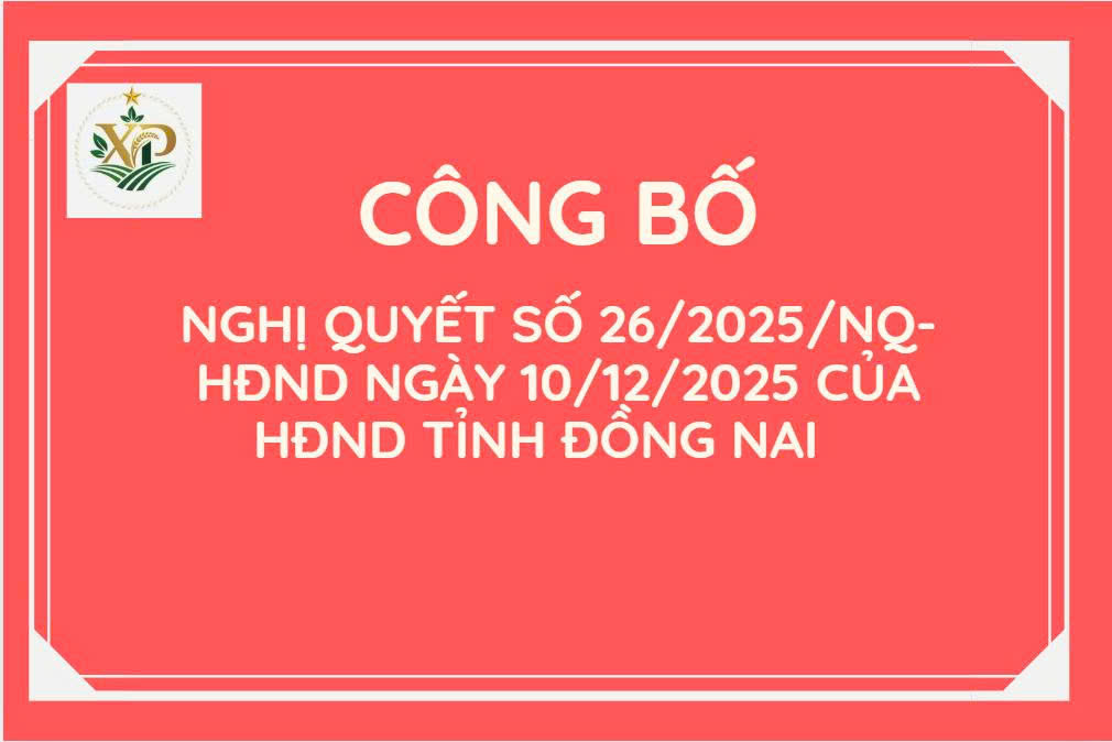 CÔNG BỐ NGHỊ QUYẾT SỐ 26/2025/NQ-HĐND NGÀY 10/12/2025 CỦA HĐND TỈNH ĐỒNG NAI QUY ĐỊNH ĐỐI TƯỢNG, MỨC HỖ TRỢ TRONG DỊP TẾT NGUYÊN ĐÁN TRÊN ĐỊA BAN TỈNH ĐỒNG NAI