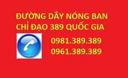 Đường Dây Nóng BCĐ 389