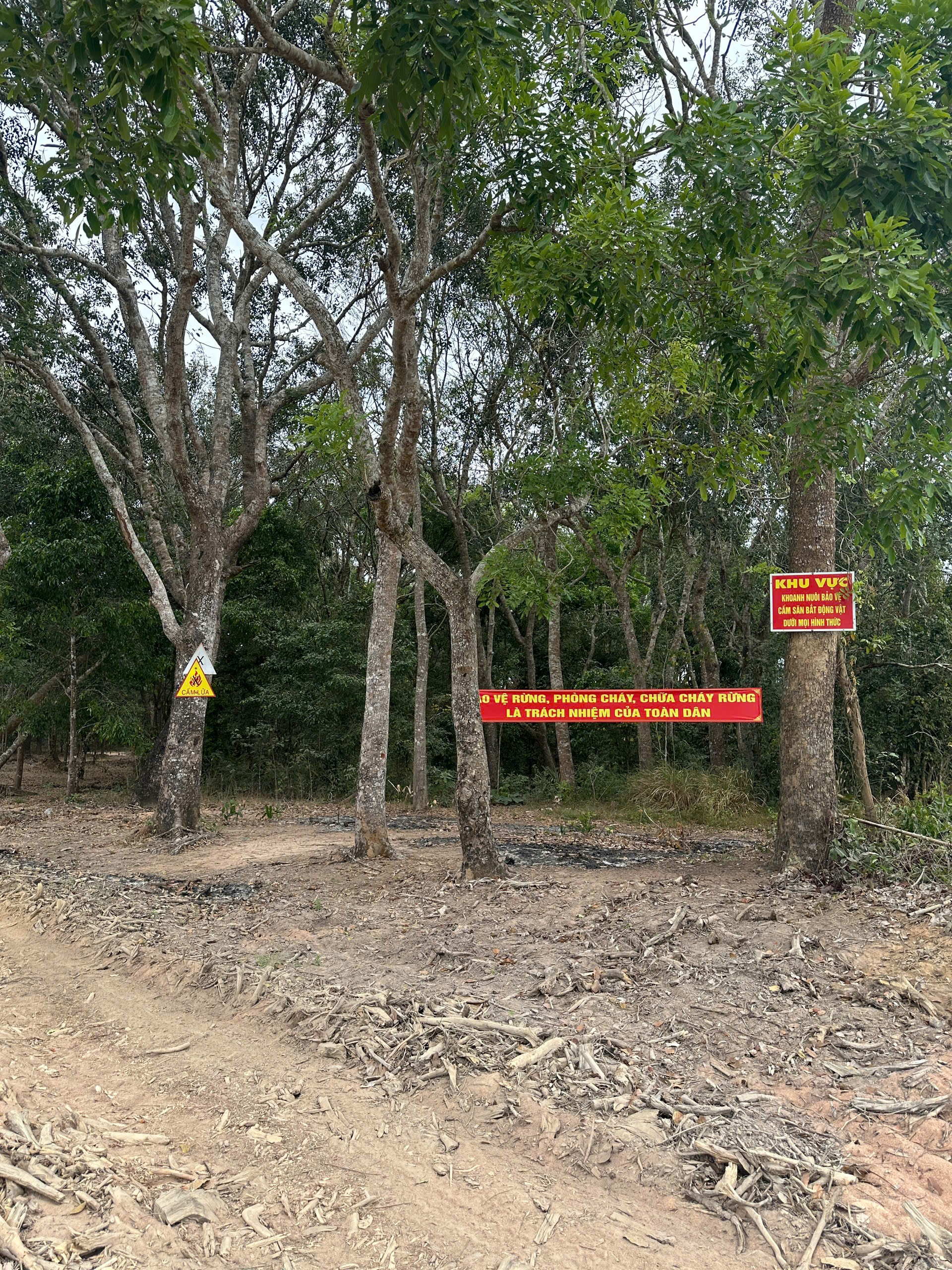 Chung tay phòng cháy, chữa cháy rừng mùa khô